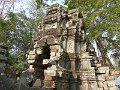 Angkor Ta Prohm P0165